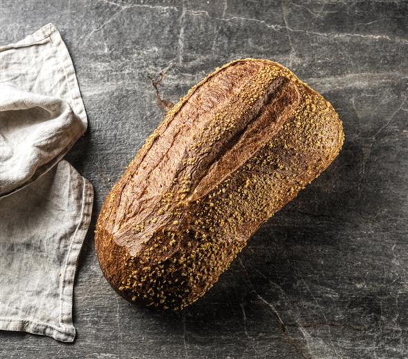 Majsbrød